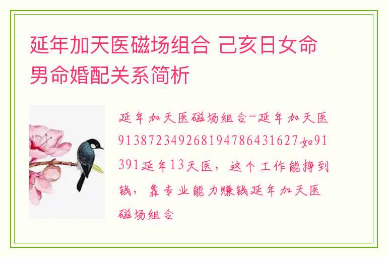 延年加天医磁场组合 己亥日女命男命婚配关系简析