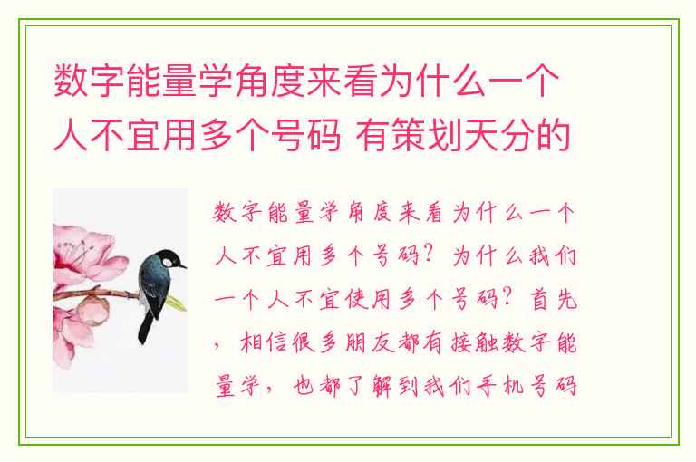 数字能量学角度来看为什么一个人不宜用多个号码 有策划天分的手机号