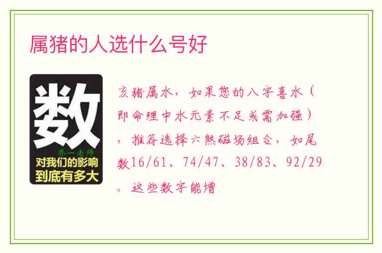 属猪的人选什么号好
