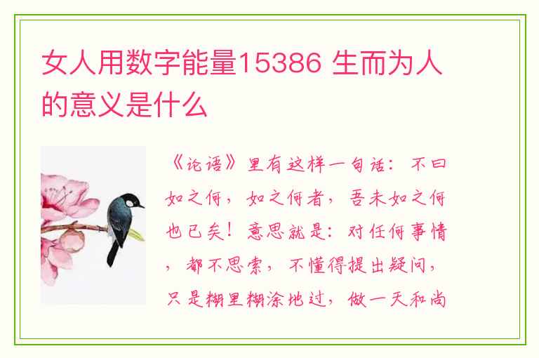 女人用数字能量15386 生而为人的意义是什么