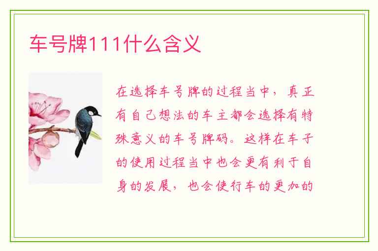 车号牌111什么含义