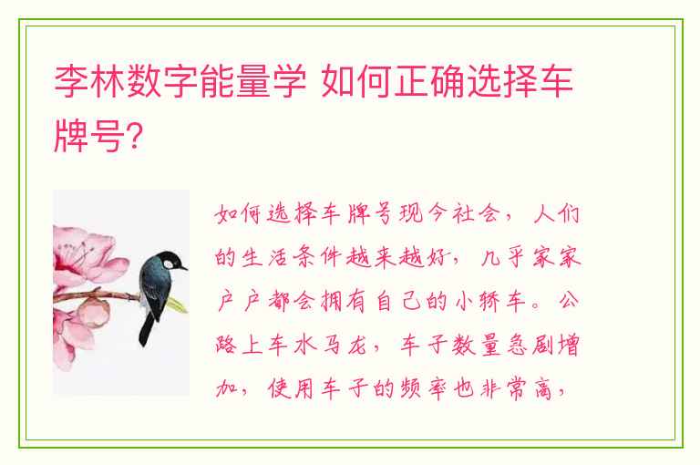 李林数字能量学 如何正确选择车牌号？