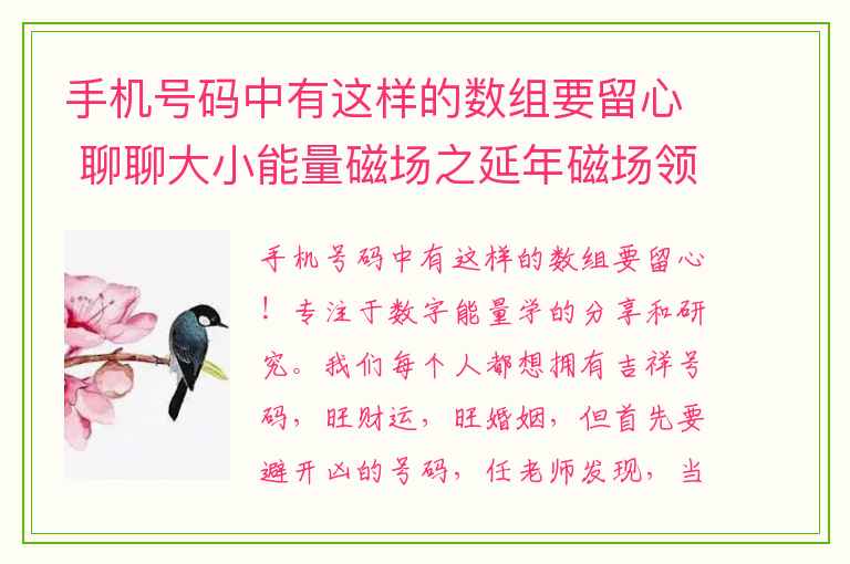 手机号码中有这样的数组要留心 聊聊大小能量磁场之延年磁场领导密码