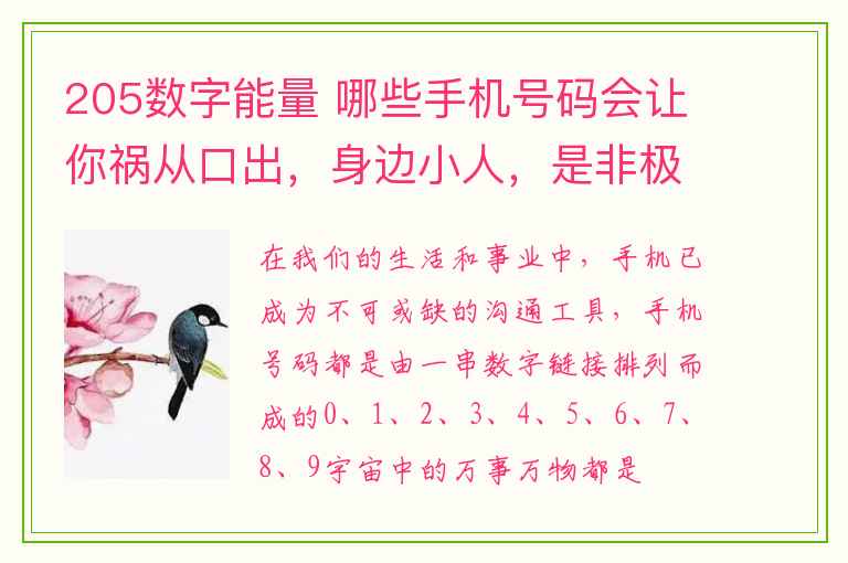 205数字能量 哪些手机号码会让你祸从口出，身边小人，是非极度增