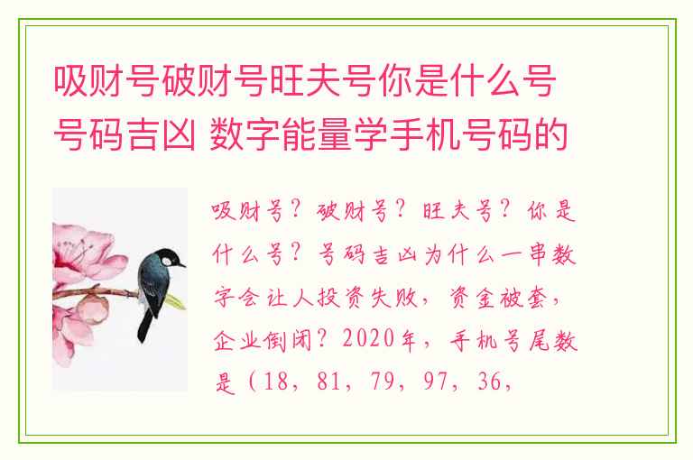 吸财号破财号旺夫号你是什么号号码吉凶 数字能量学手机号码的能量动静转换解析