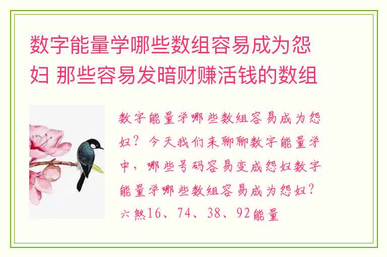 数字能量学哪些数组容易成为怨妇 那些容易发暗财赚活钱的数组