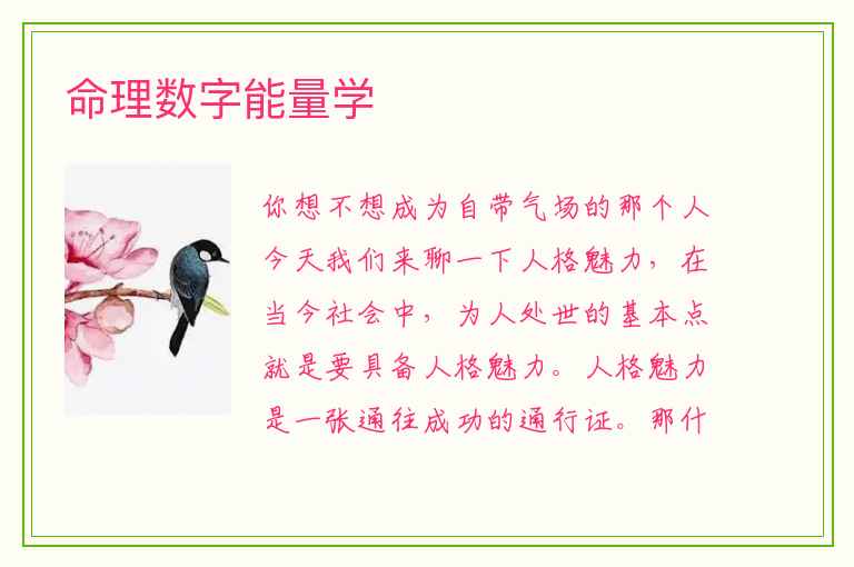 命理数字能量学