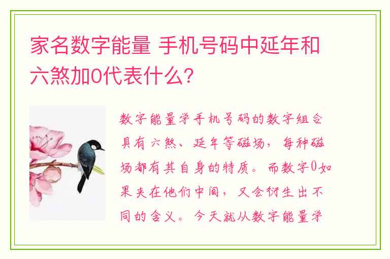 家名数字能量 手机号码中延年和六煞加0代表什么？