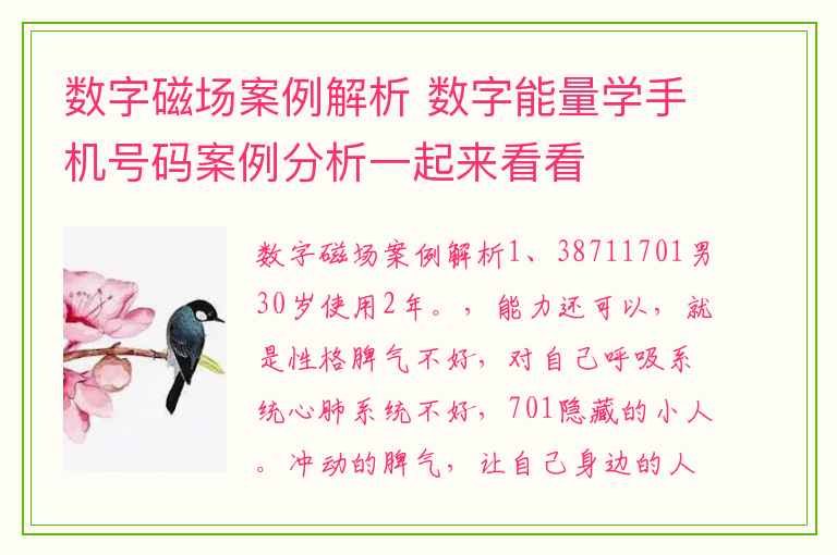数字磁场案例解析 数字能量学手机号码案例分析一起来看看