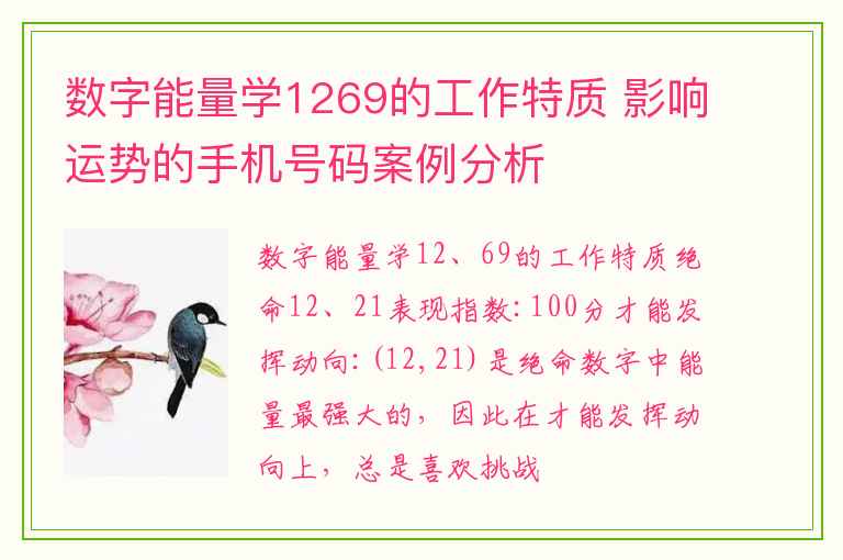 数字能量学1269的工作特质 影响运势的手机号码案例分析