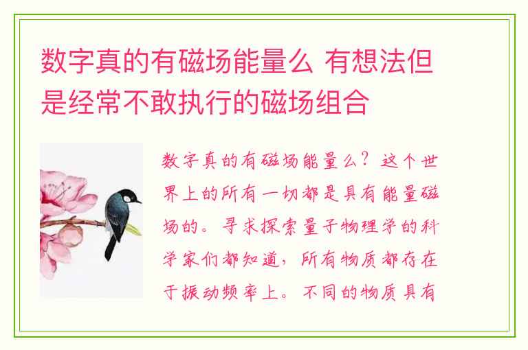 数字真的有磁场能量么 有想法但是经常不敢执行的磁场组合