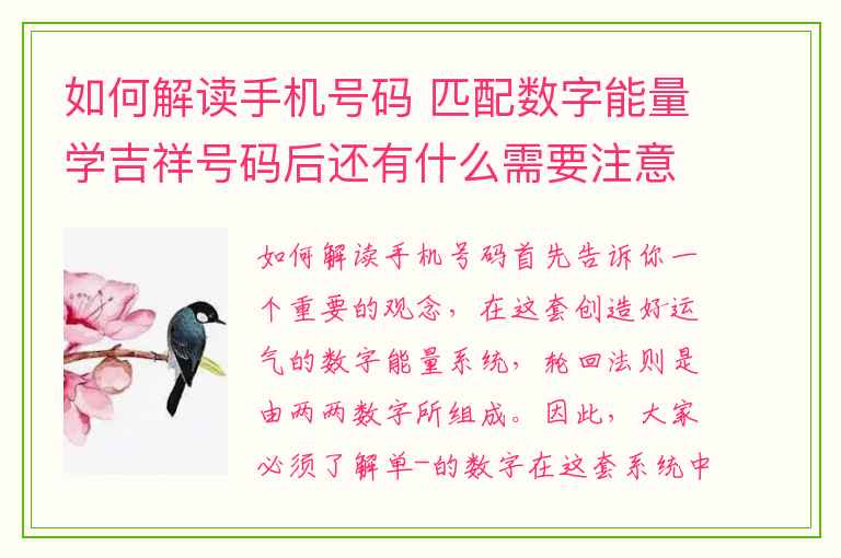 如何解读手机号码 匹配数字能量学吉祥号码后还有什么需要注意