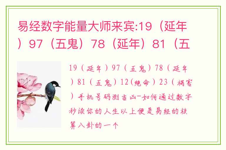 易经数字能量大师来宾:19（延年）97（五鬼）78（延年）81（五鬼）12(绝命） 23（祸害）