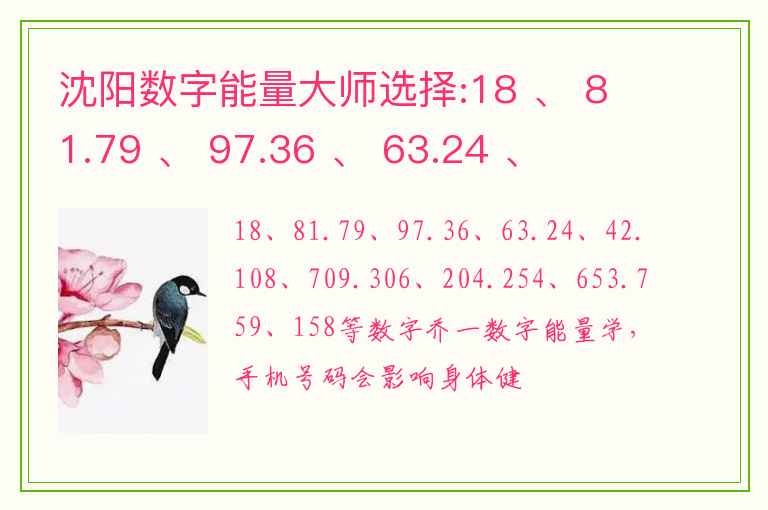 沈阳数字能量大师选择:18 、 81.79 、 97.36 、 63.24 、