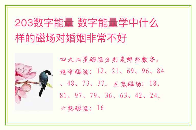 203数字能量 数字能量学中什么样的磁场对婚姻非常不好