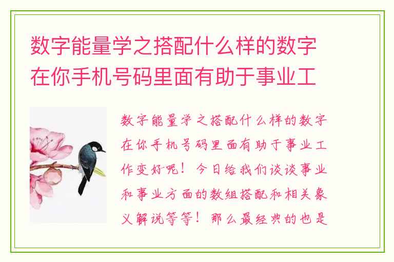 数字能量学之搭配什么样的数字在你手机号码里面有助于事业工作变好呢 生命健康财运都离不开能量学