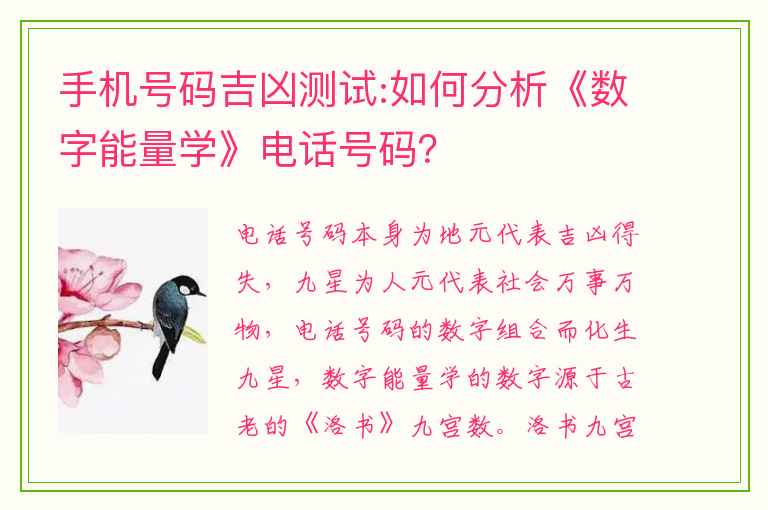 手机号码吉凶测试:如何分析《数字能量学》电话号码？