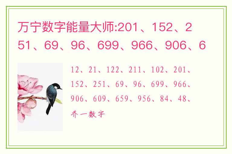 万宁数字能量大师:201、152、251、69、96、699、966、906、609、659、956、84、48、