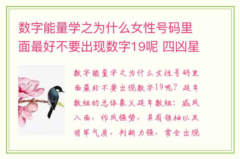 数字能量学之为什么女性号码里面最好不要出现数字19呢 四凶星恰到好处的用法四