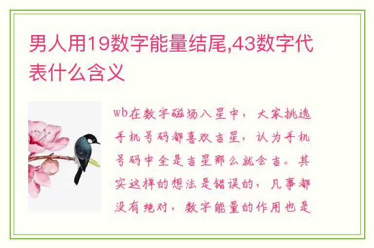 男人用19数字能量结尾,43数字代表什么含义