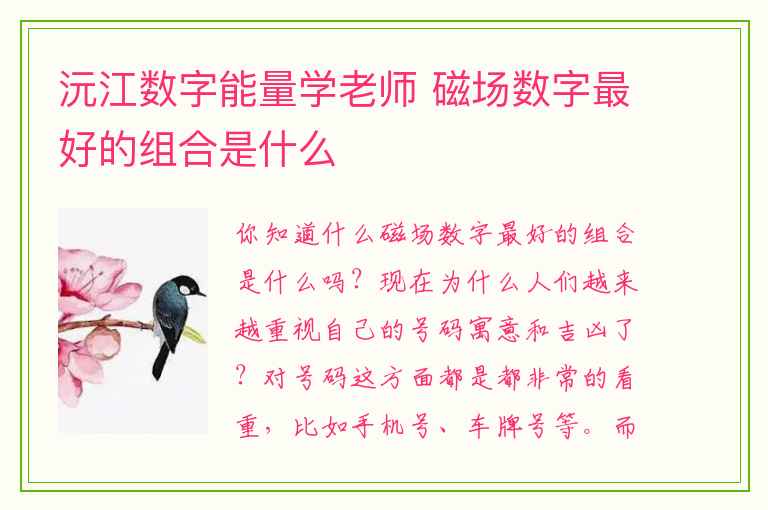 沅江数字能量学老师 磁场数字最好的组合是什么