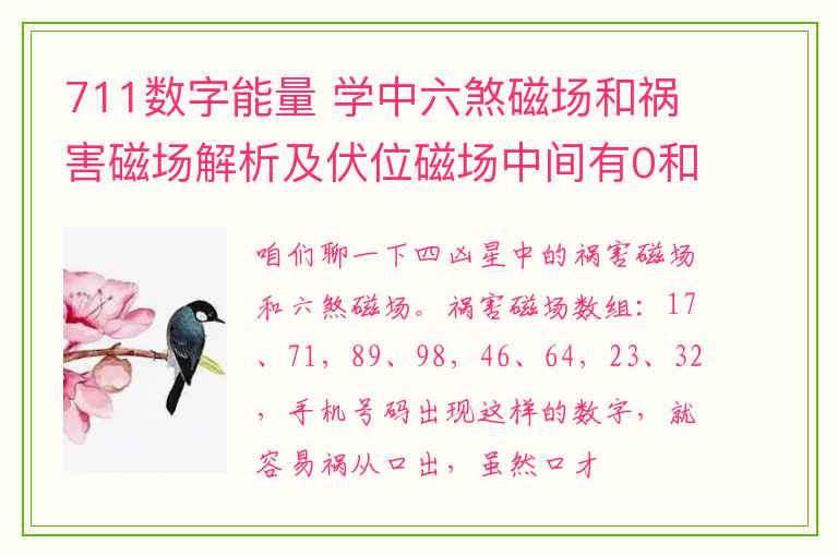 711数字能量 学中六煞磁场和祸害磁场解析及伏位磁场中间有0和5的解析