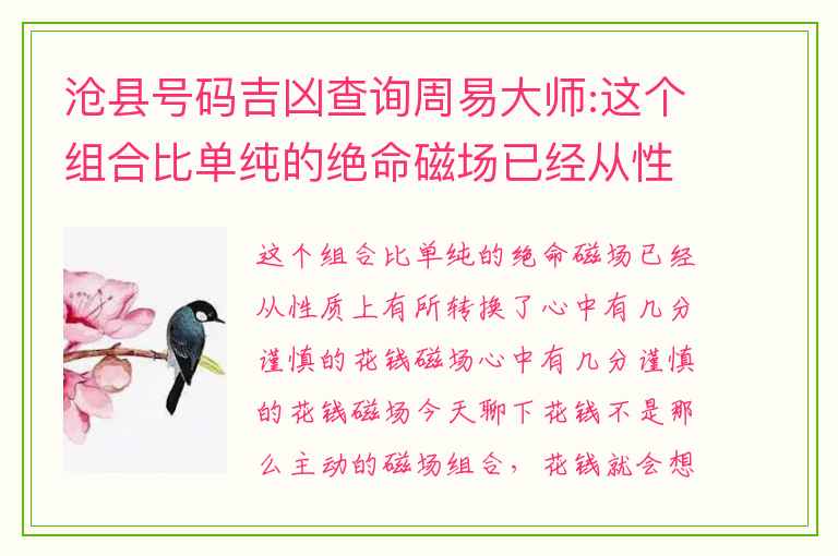 沧县号码吉凶查询周易大师:这个组合比单纯的绝命磁场已经从性质上有所转换了