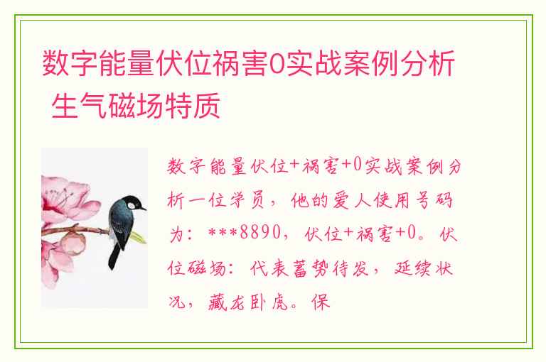 数字能量伏位祸害0实战案例分析 生气磁场特质