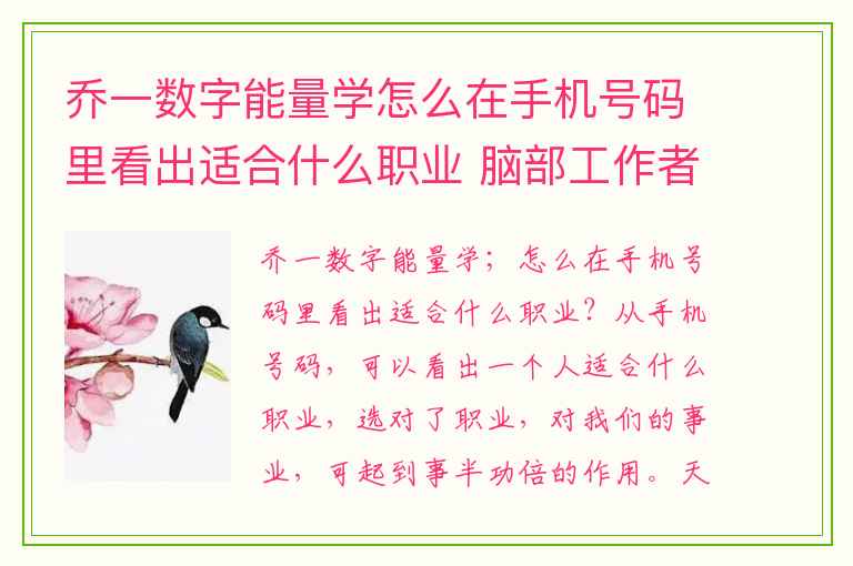 乔一数字能量学怎么在手机号码里看出适合什么职业 脑部工作者可以添加的磁场组合