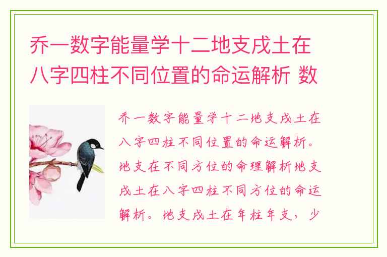 乔一数字能量学十二地支戌土在八字四柱不同位置的命运解析 数字能量学手机号码如何看财运