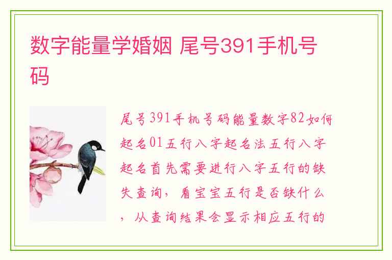 数字能量学婚姻 尾号391手机号码