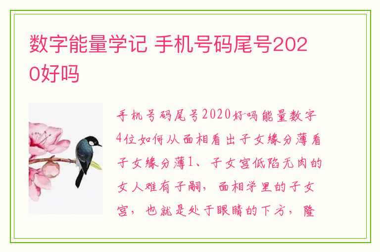 数字能量学记 手机号码尾号2020好吗