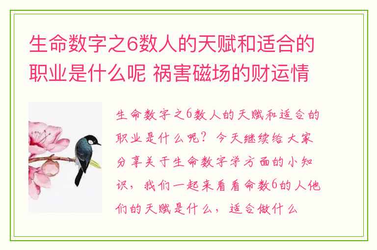 生命数字之6数人的天赋和适合的职业是什么呢 祸害磁场的财运情况