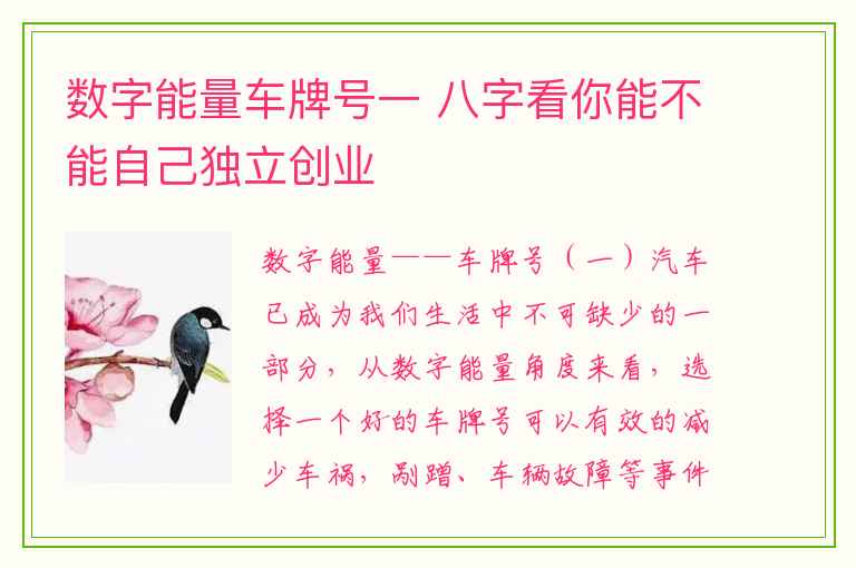 数字能量车牌号一 八字看你能不能自己独立创业