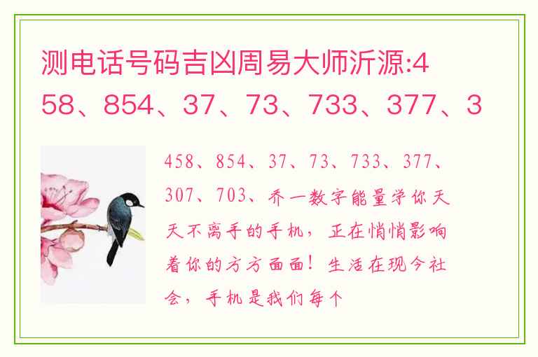 测电话号码吉凶周易大师沂源:458、854、37、73、733、377、307、703、