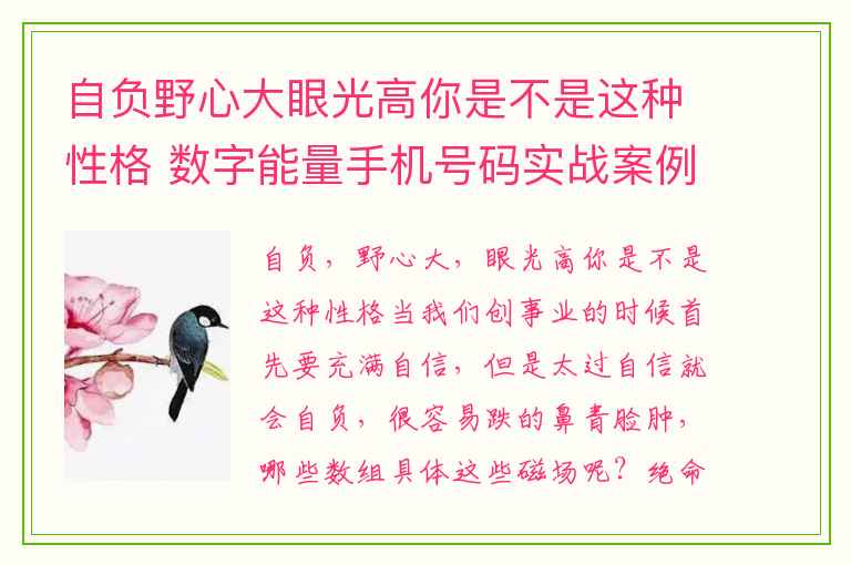 自负野心大眼光高你是不是这种性格 数字能量手机号码实战案例