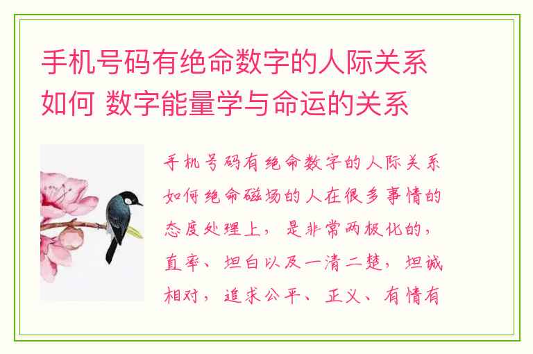 手机号码有绝命数字的人际关系如何 数字能量学与命运的关系