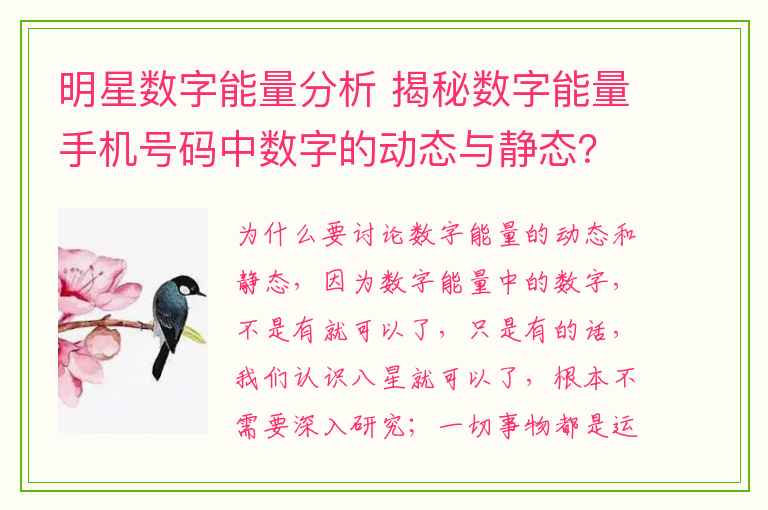 明星数字能量分析 揭秘数字能量手机号码中数字的动态与静态？