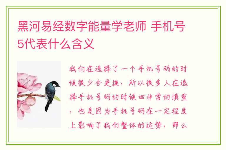 黑河易经数字能量学老师 手机号5代表什么含义