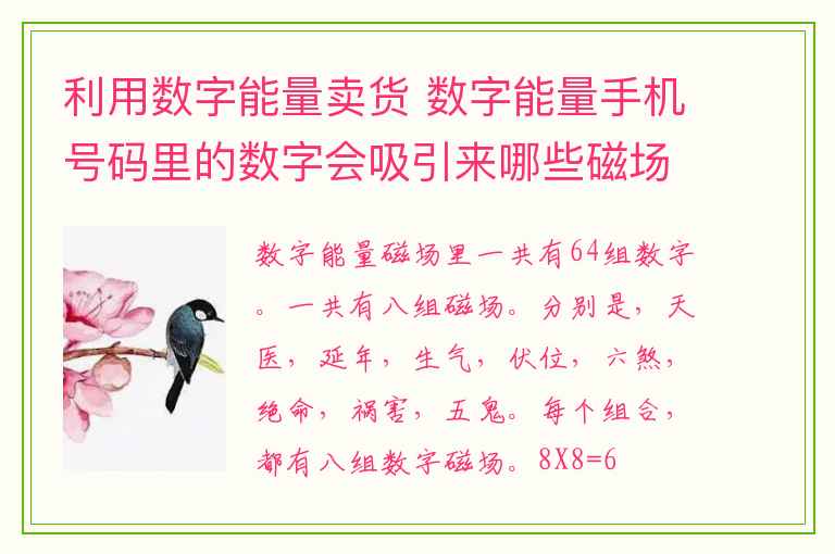 利用数字能量卖货 数字能量手机号码里的数字会吸引来哪些磁场和能量？