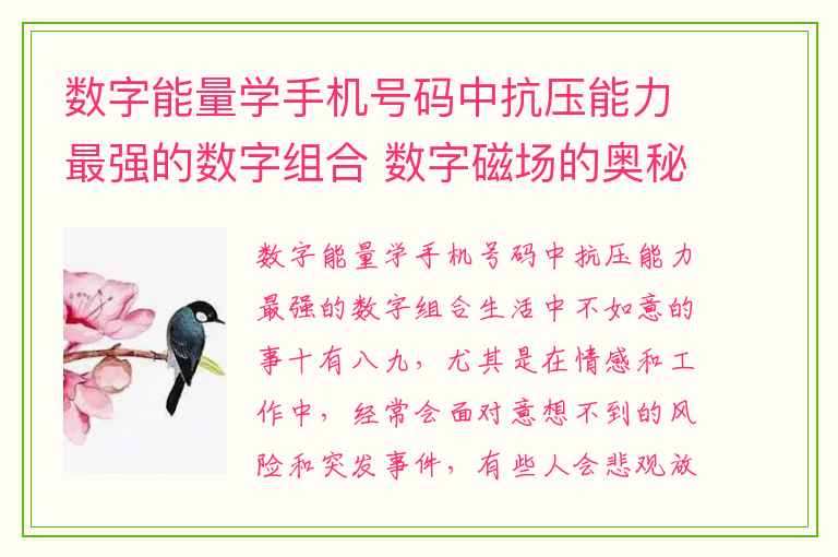 数字能量学手机号码中抗压能力最强的数字组合 数字磁场的奥秘