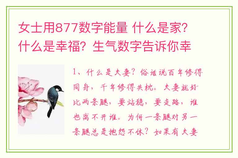 女士用877数字能量 什么是家？什么是幸福？生气数字告诉你幸福答案