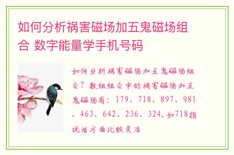 如何分析祸害磁场加五鬼磁场组合 数字能量学手机号码