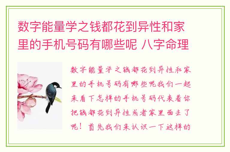 数字能量学之钱都花到异性和家里的手机号码有哪些呢 八字命理论食神