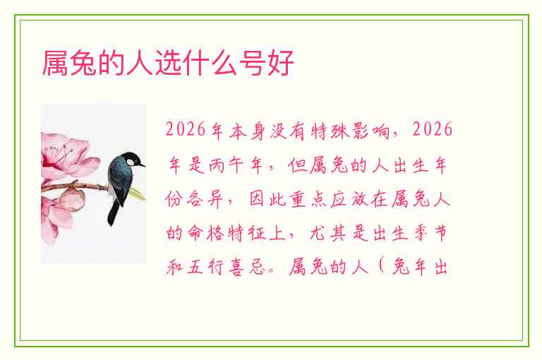 属兔的人选什么号好