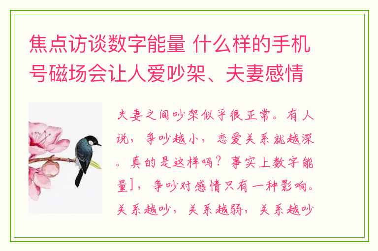 焦点访谈数字能量 什么样的手机号磁场会让人爱吵架、夫妻感情不合