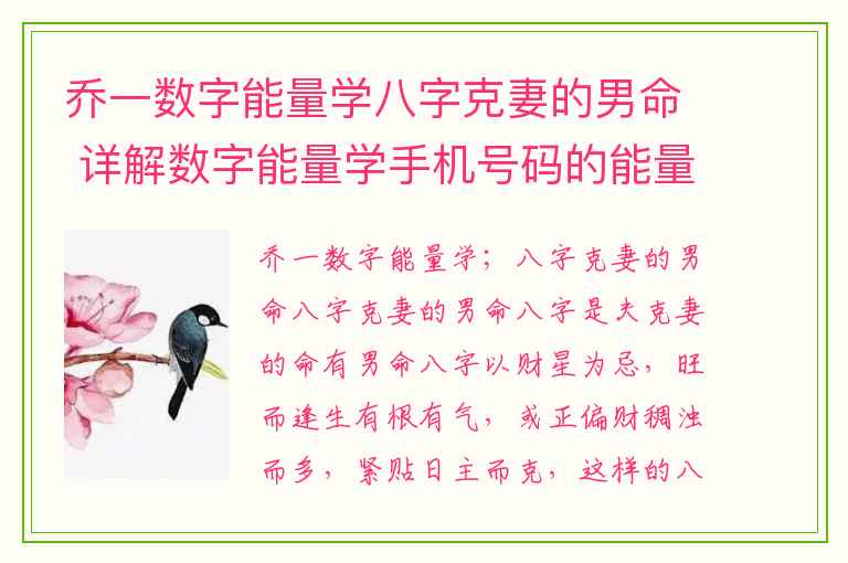 乔一数字能量学八字克妻的男命 详解数字能量学手机号码的能量磁场