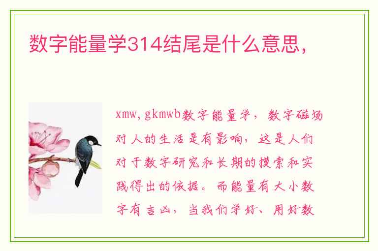 数字能量学314结尾是什么意思，