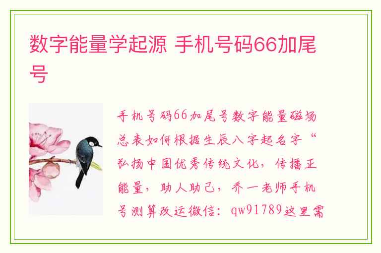 数字能量学起源 手机号码66加尾号