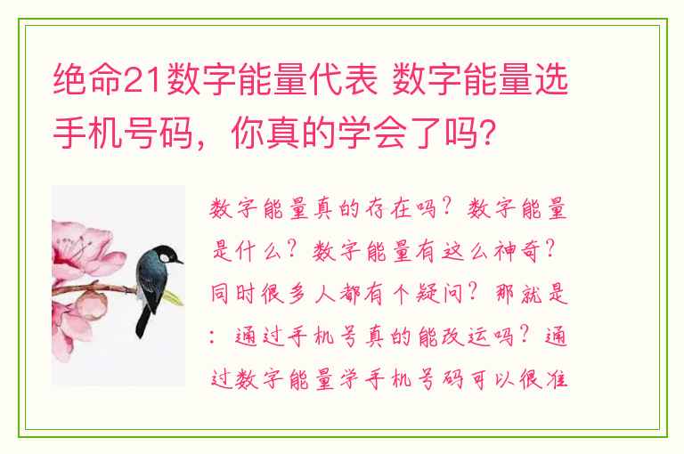 绝命21数字能量代表 数字能量选手机号码，你真的学会了吗？